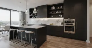 Black Kitchen Cabinets Modern Sarasota County FL