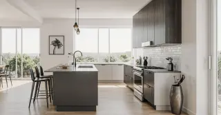 Cabinets Modern Kitchen Sarasota County FL