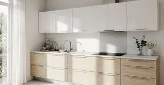 Inexpensive Kitchen Cabinets Sarasota County FL