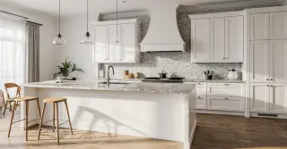 Kitchen Cabinets Modern White Sarasota County FL