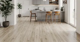 Kitchen Floor Ideas On A Budget Sarasota County FL