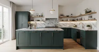 Modern Dark Green Kitchen Cabinets Sarasota County FL