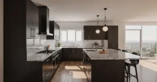 Modern Dark Wood Kitchen Cabinets Sarasota County FL
