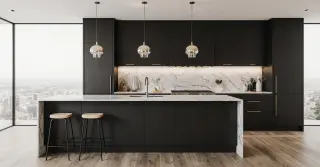 Modern Matte Black Kitchen Cabinets Sarasota County FL