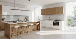 Shaker Cabinets Modern Kitchen Sarasota County FL