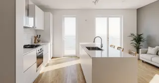 White Cabinet Modern Sarasota County FL