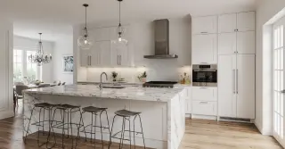 White Shaker Cabinets Sarasota County FL